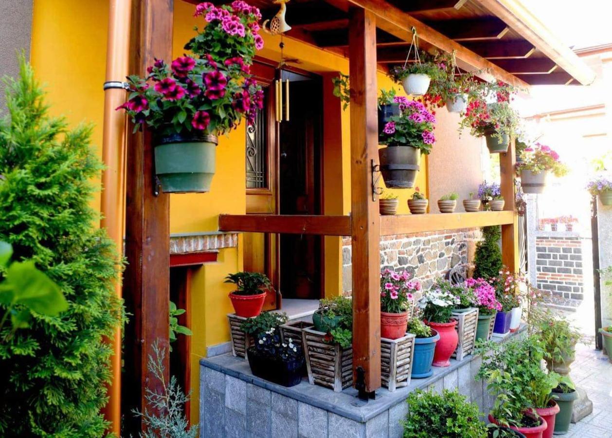 Hotel Bujtina Bicolli Korce Extérieur photo